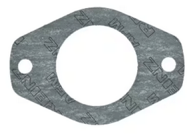 Dichtung 3055384r3 Einspritzpumpe IHC CASE IH