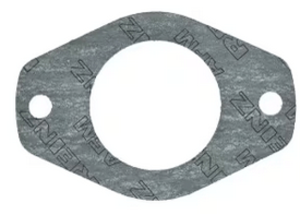 Dichtung 3055384r3 Einspritzpumpe IHC CASE IH