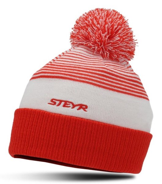 Muetze Mütze Beanie Steyr